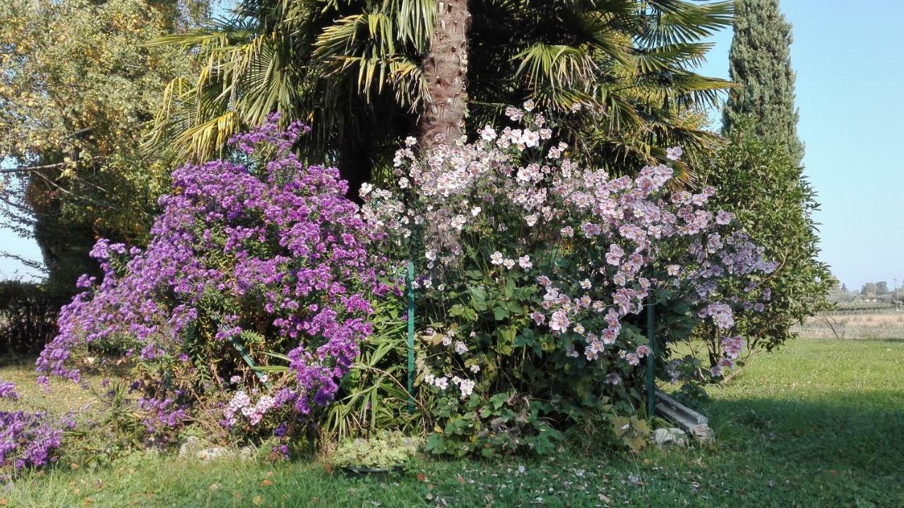 كاستلْنْيوفو ديل غارد B&B Da Miriam المظهر الخارجي الصورة